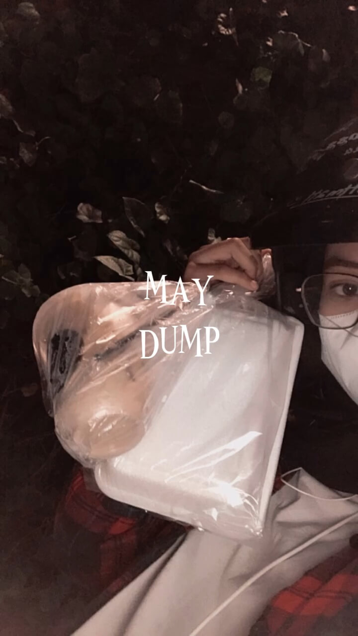 May Dump CapCut Template